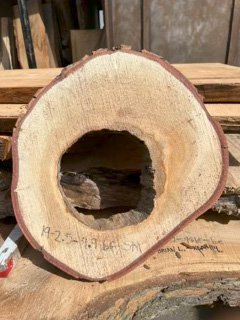 Spalted Maple